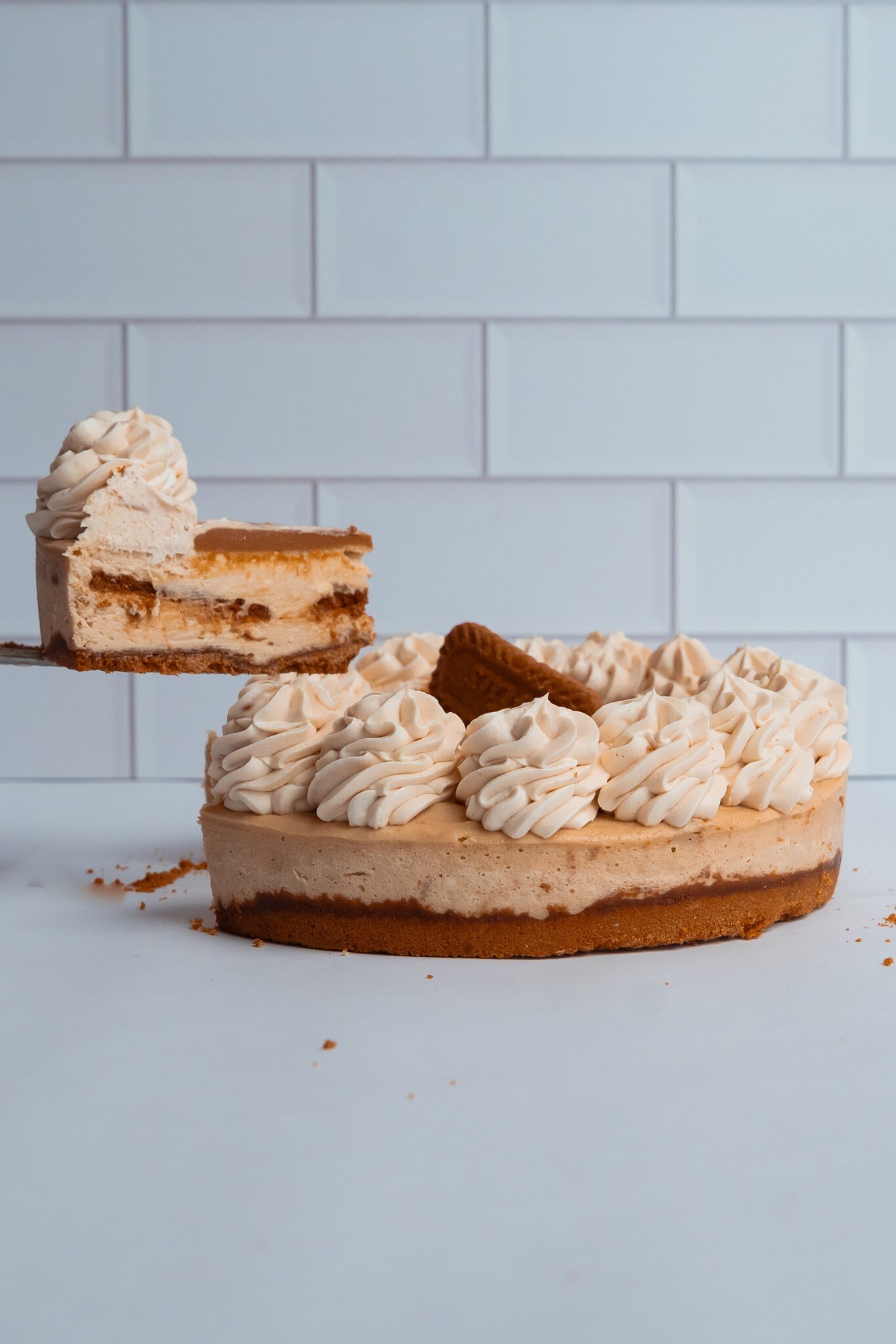 Biscoff Cheesecake